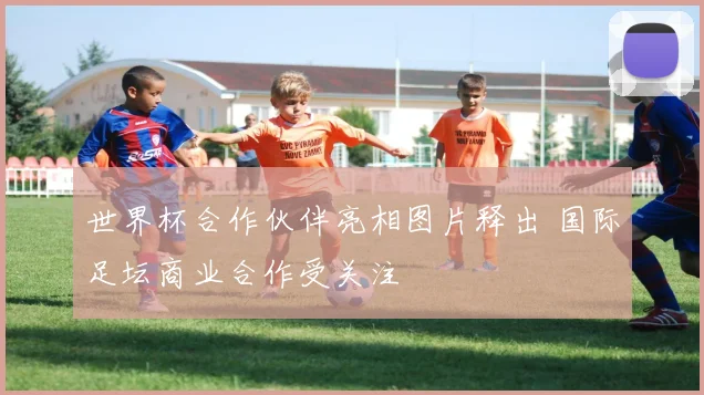 世界杯合作伙伴亮相图片释出 国际足坛商业合作受关注