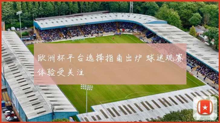 欧洲杯平台选择指南出炉 球迷观赛体验受关注